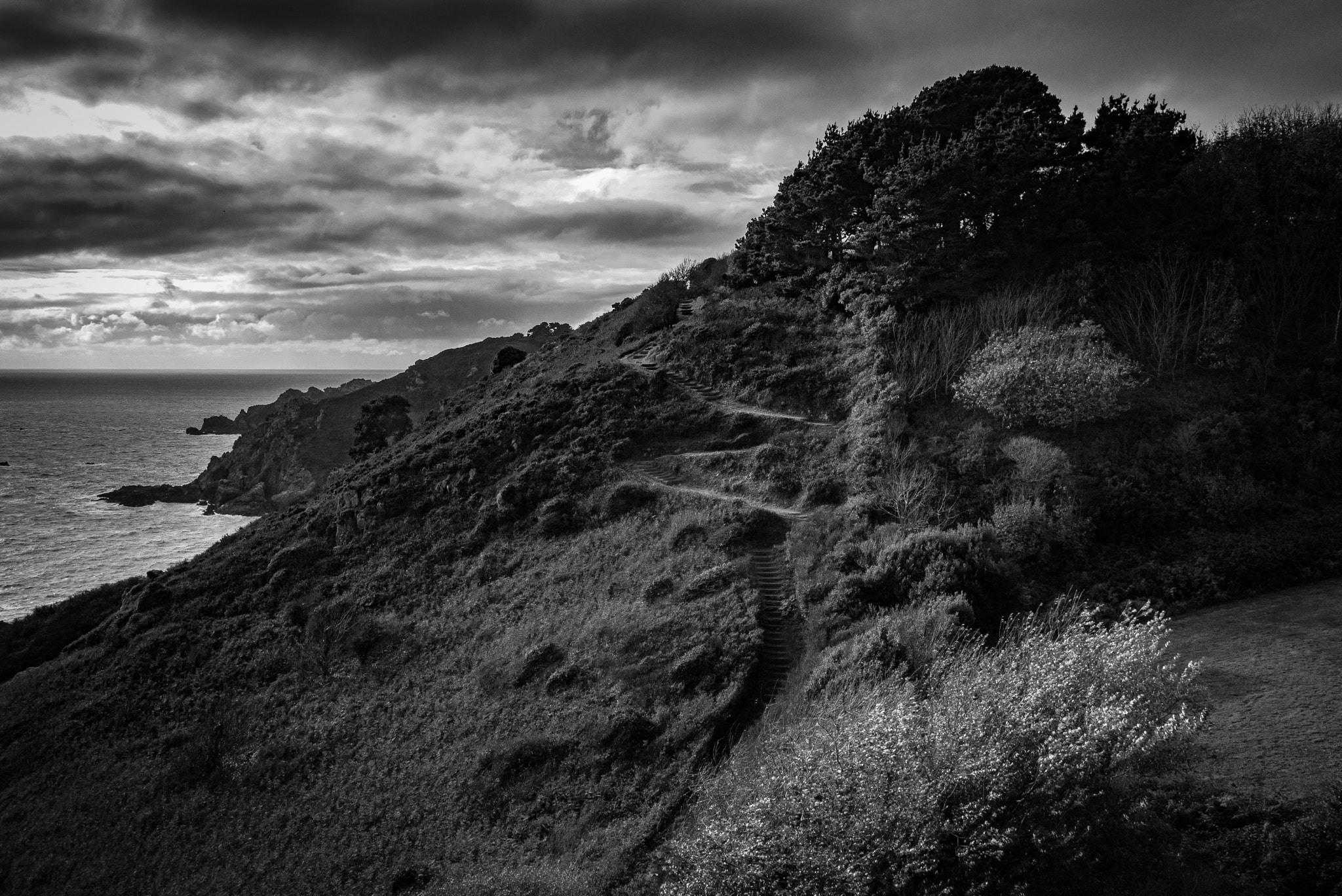 New Zealand Landscapes