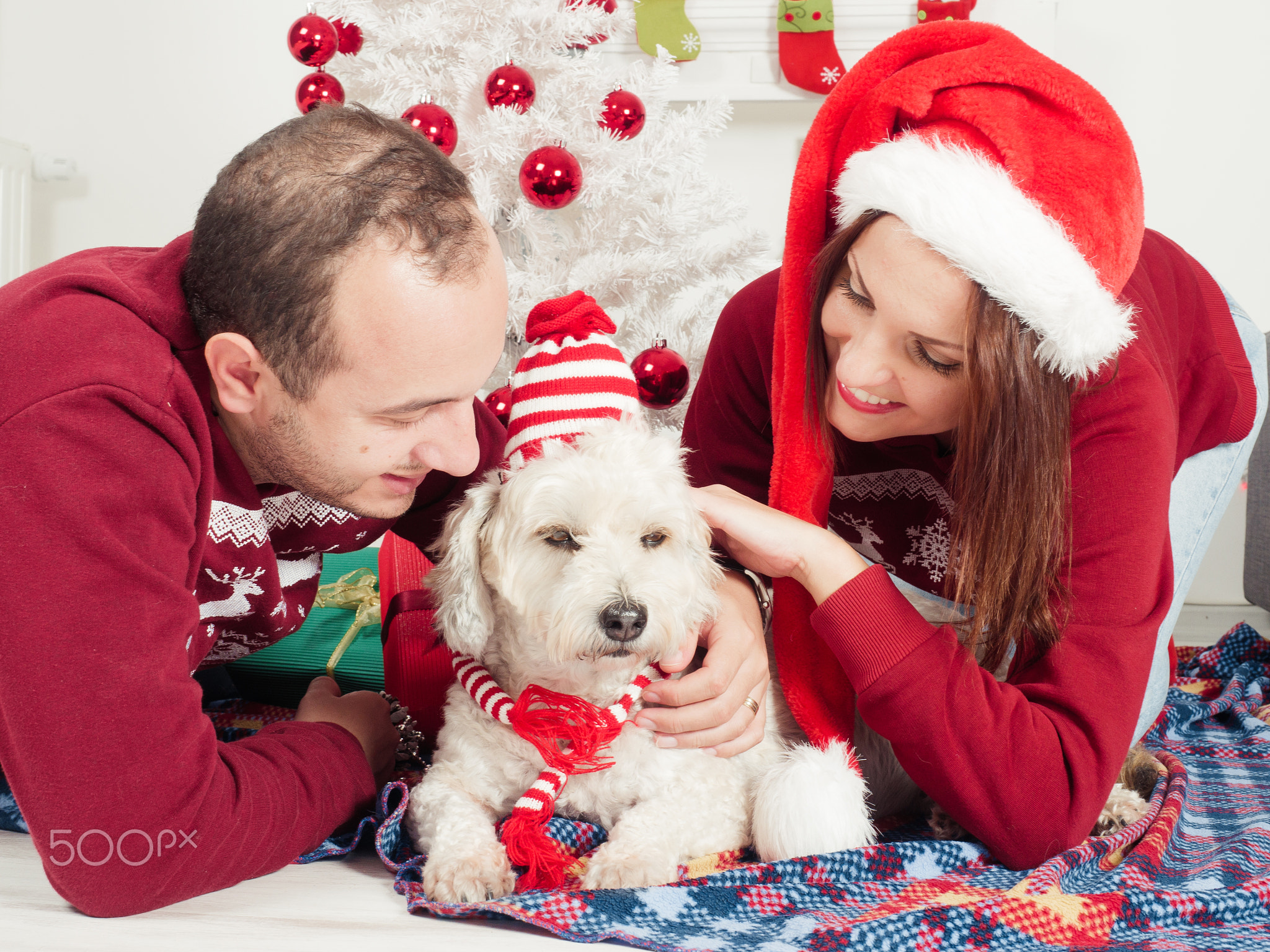 Happy couple with dog, all in Christmas clothes sitting near Christmas tree