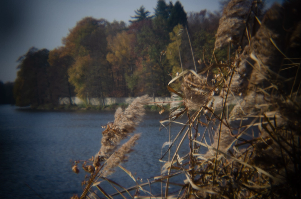 reed von dirk derbaum auf 500px.com