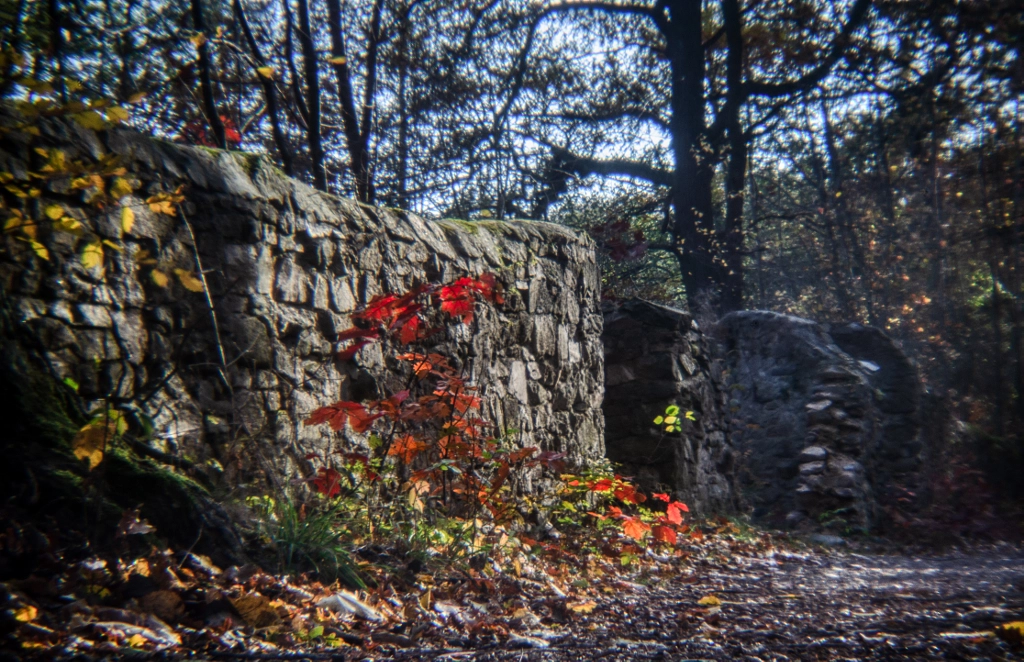 autumn von dirk derbaum auf 500px.com