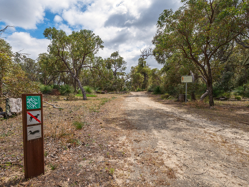 Thomsons Lake – Lakeside Walk – paulamyes