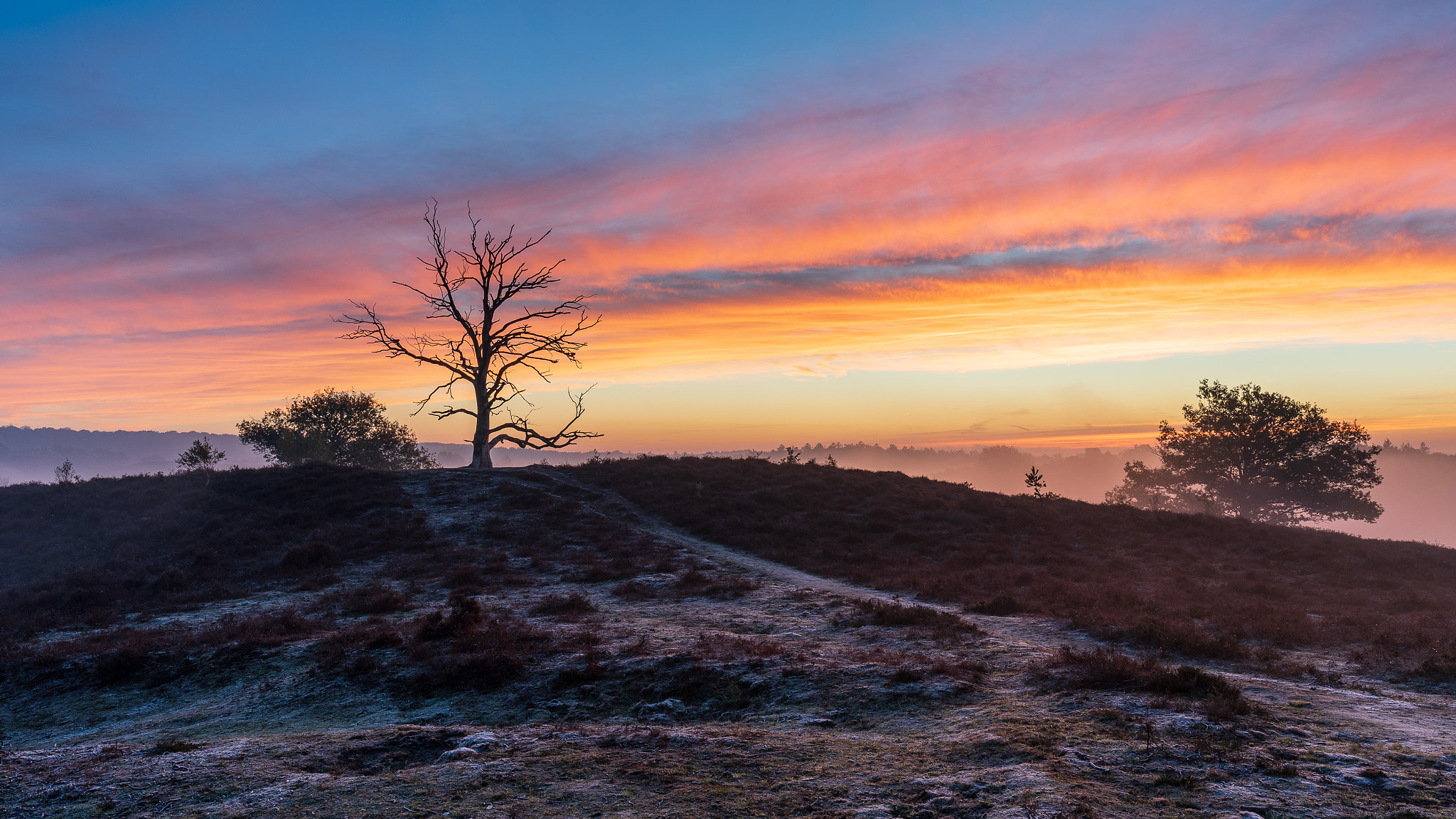 I wanna see the rainbow in the sky