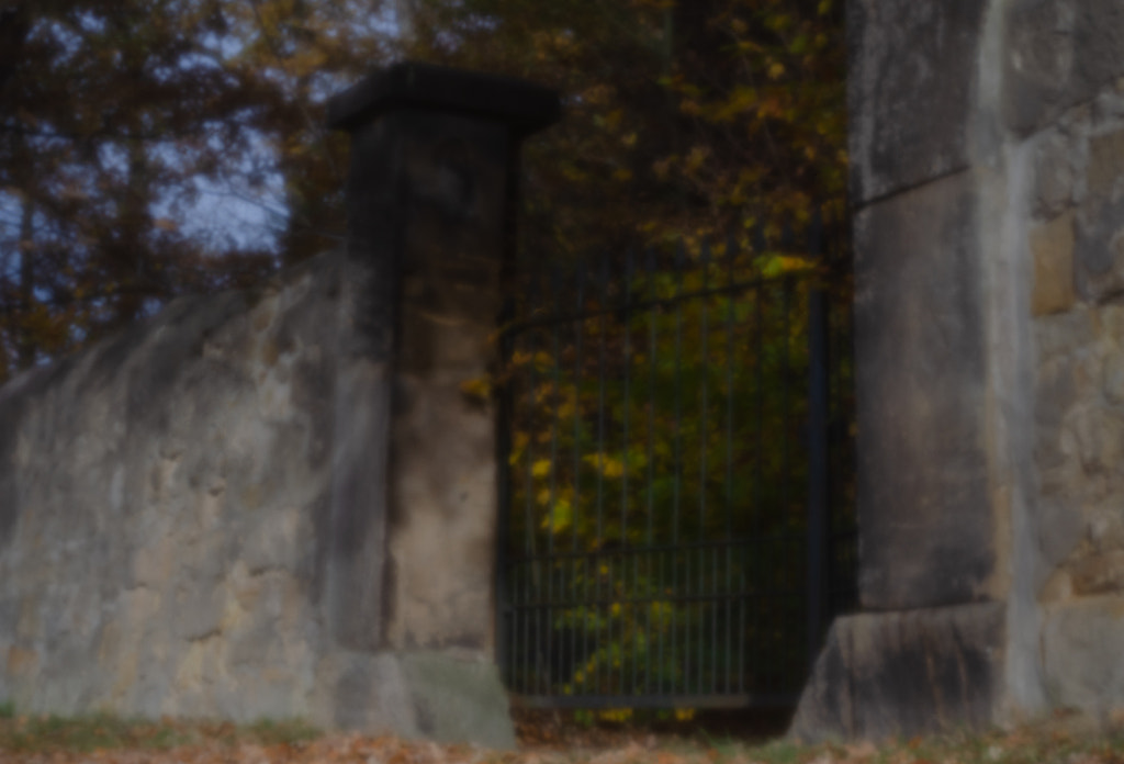 garden gate II von dirk derbaum auf 500px.com