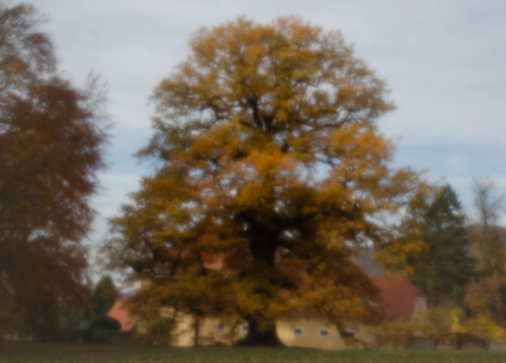 the bench von dirk derbaum auf 500px.com