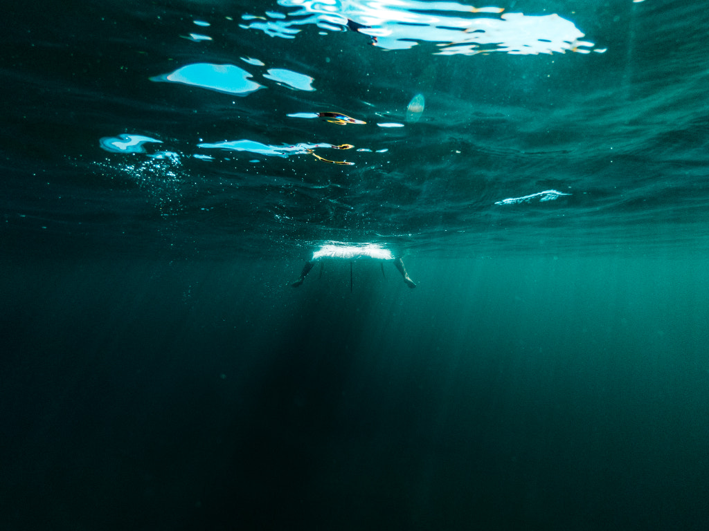 Deep Blue by Anthony Rayburn on 500px.com