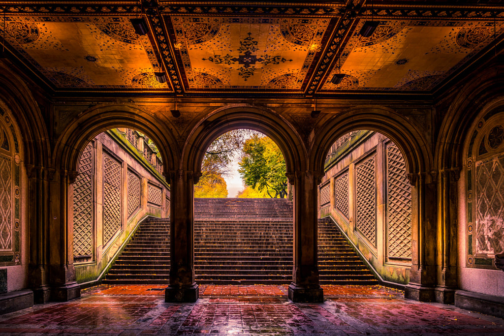 New York Central Park by Serge Ramelli on 500px.com