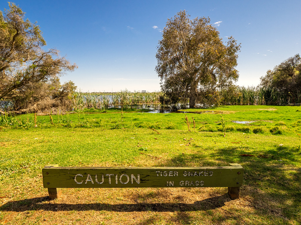 Herdsman Lake Loop Walk by Paul Amyes on 500px.com
