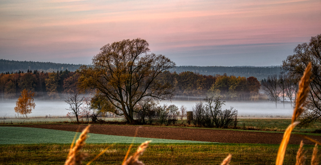 morning mist II von dirk derbaum auf 500px.com