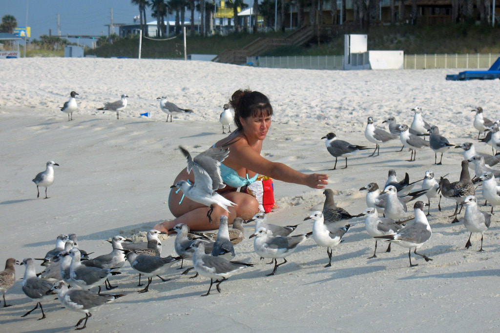 feeding the birds by Flash 1952 on 500px.com