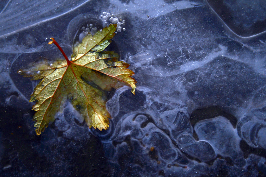 Signs of winter by Esa Suomaa on 500px.com