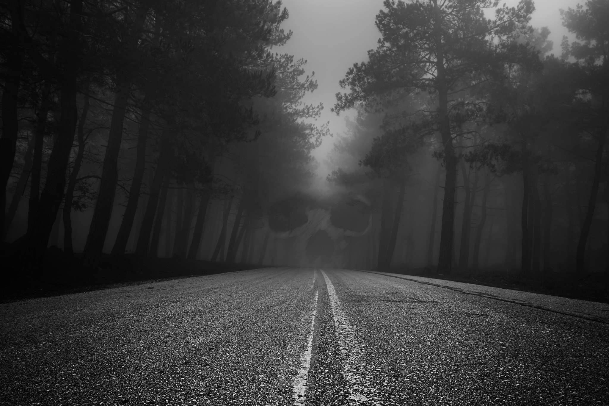 Dark Road in a Misty Forest by George Mast / 500px