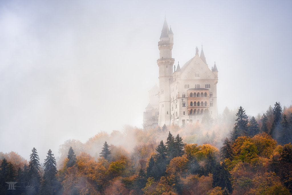 Autumn under Neuschwanstein by Marcus Danz on 500px.com