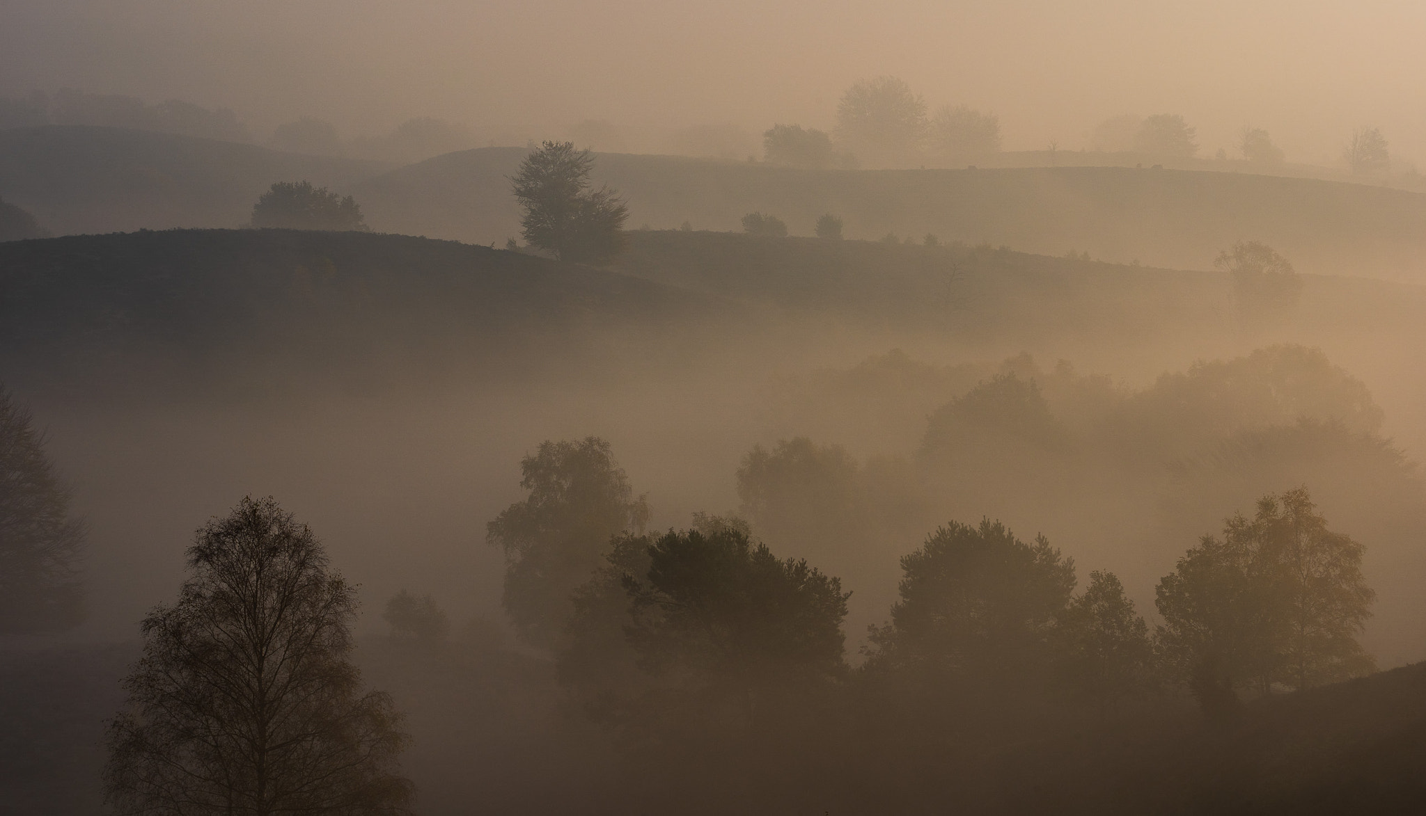 Het gelaagde landschap