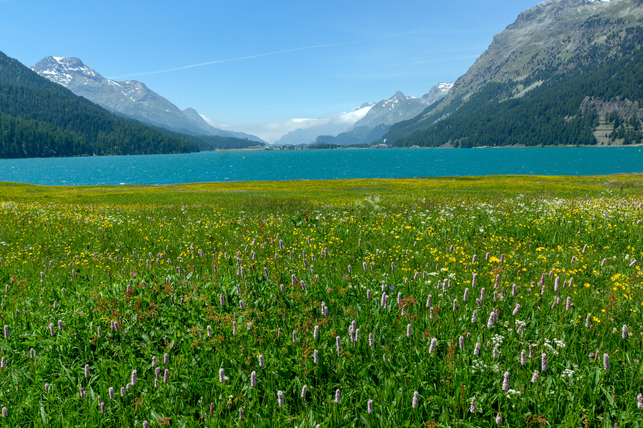 v2?sig=6e342d6dac4a157dc70936747549b4385c2c23dad735a74274821baa01b1e650