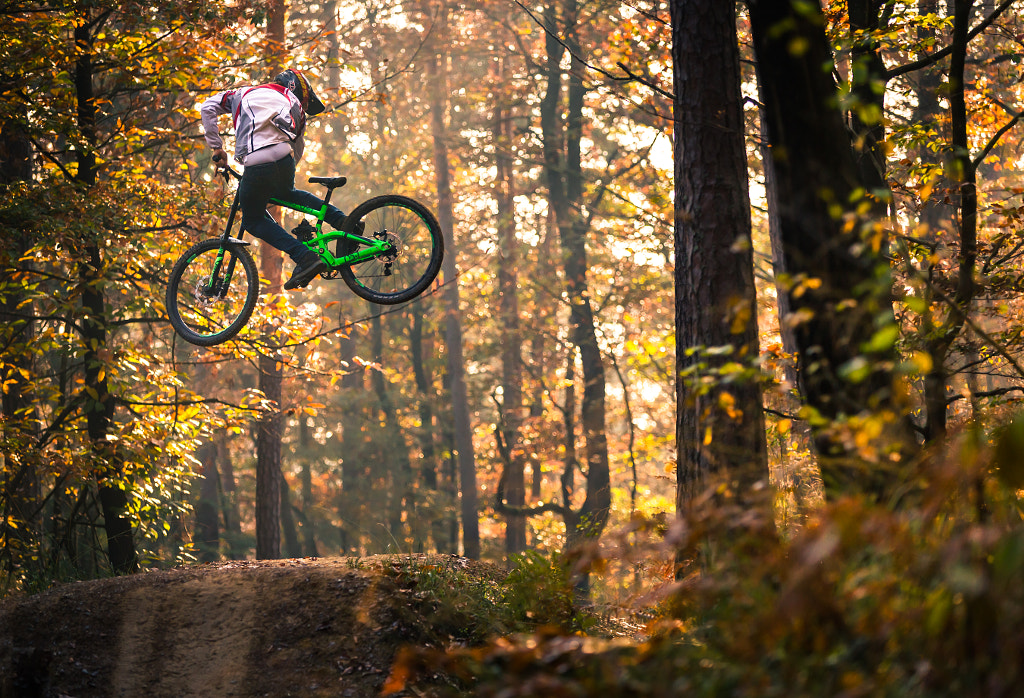 Autumn sesh by Sandi Bertoncelj on 500px.com