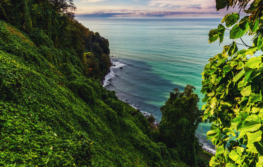 Batumi Botanical Garden by Ⓟ Panagiotis Papadopoulos on 500px.com