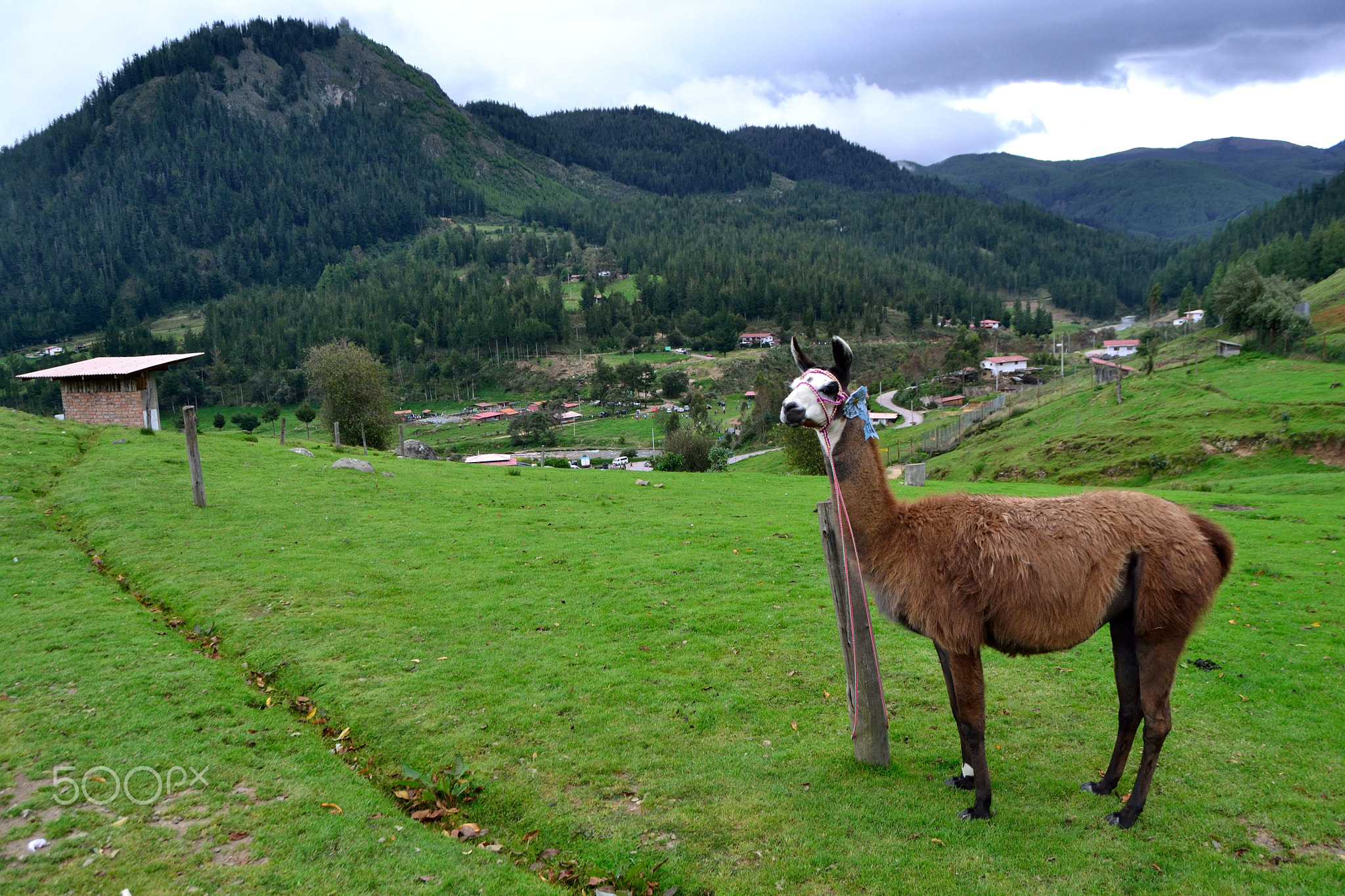 Cajamarca - Peru