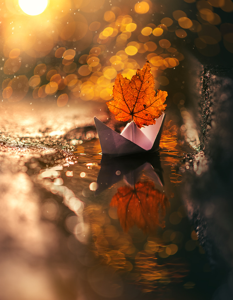 Together by Ashraful Arefin on 500px.com