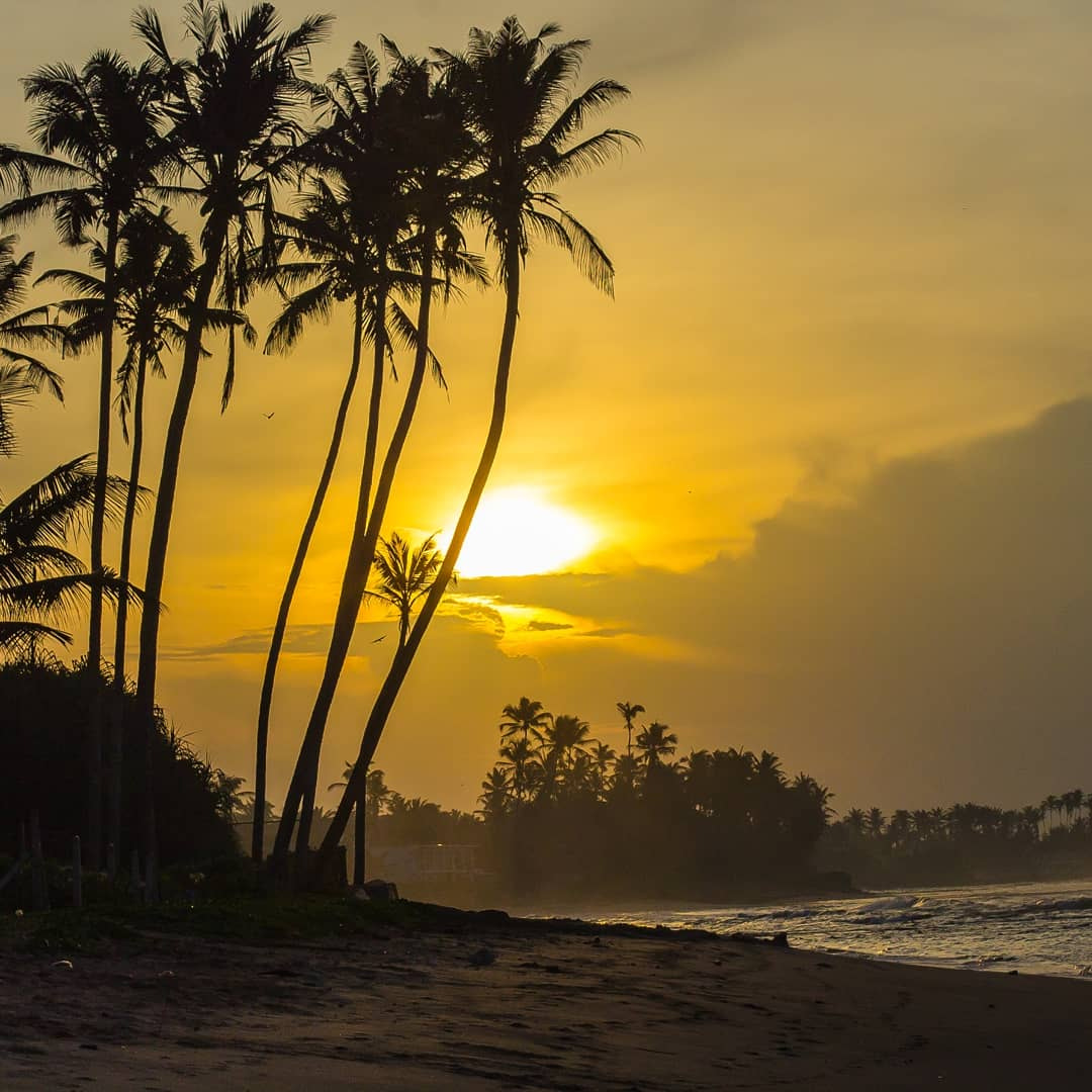 v2?sig=8fd592a5717621a59d262d2feec2dc11f