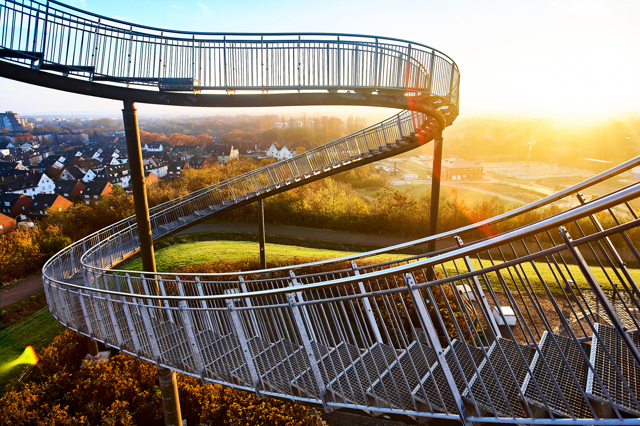 Tiger and Turtle
