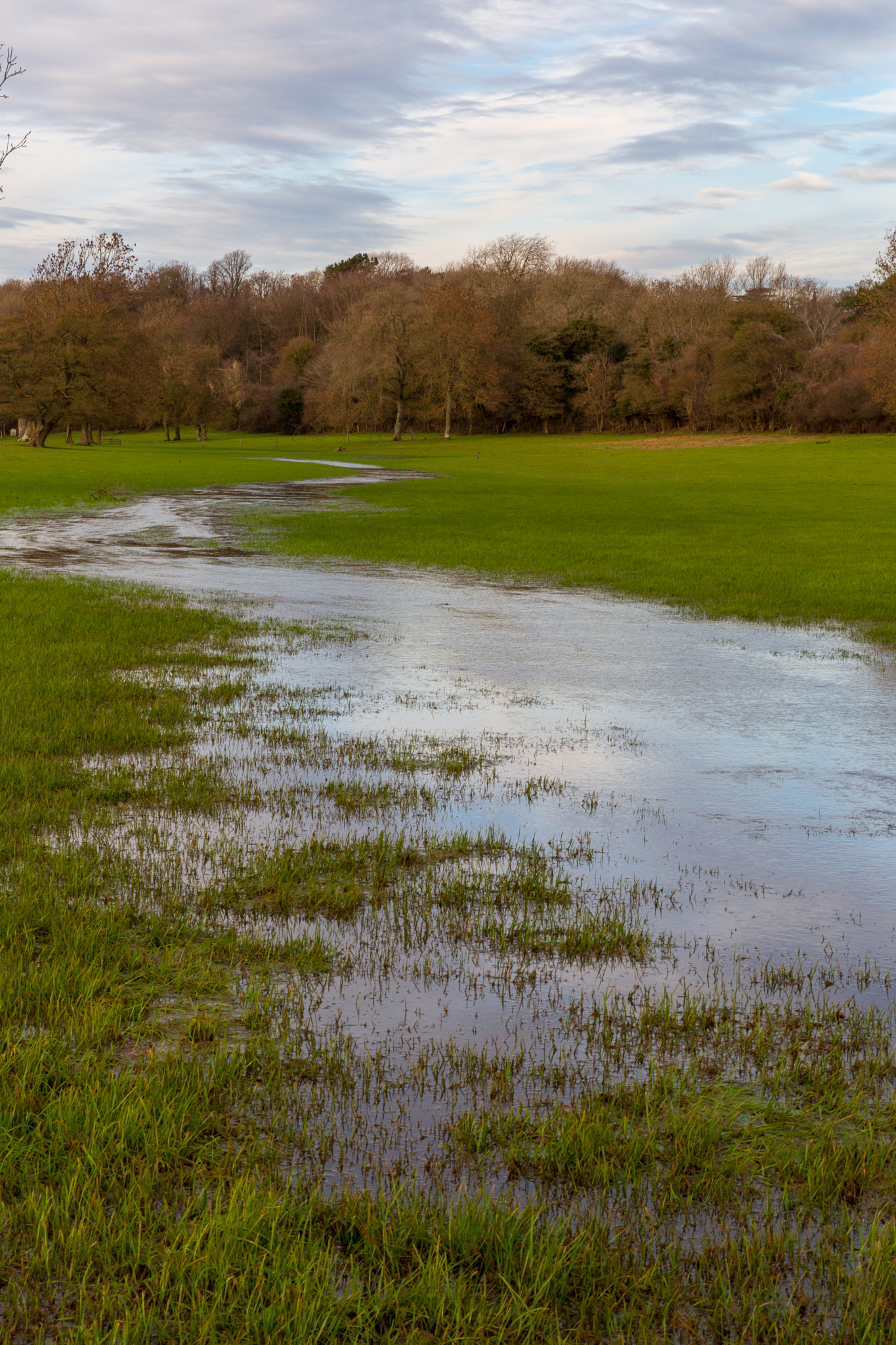 Thames Path 4