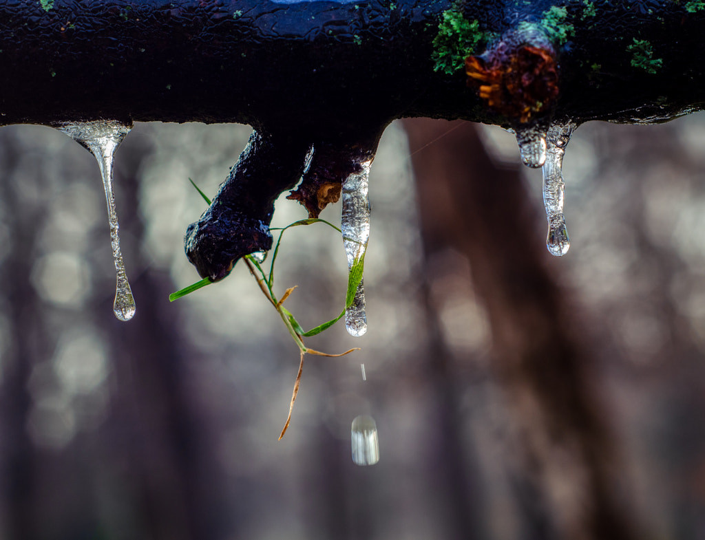 drop by dirk derbaum on 500px.com