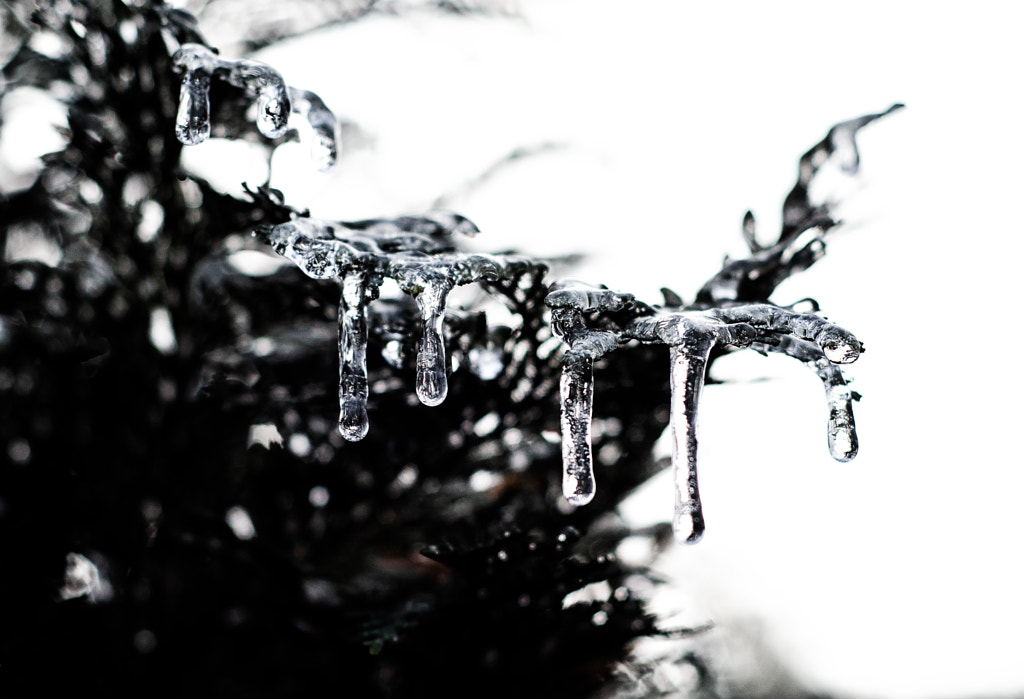 drops by dirk derbaum on 500px.com
