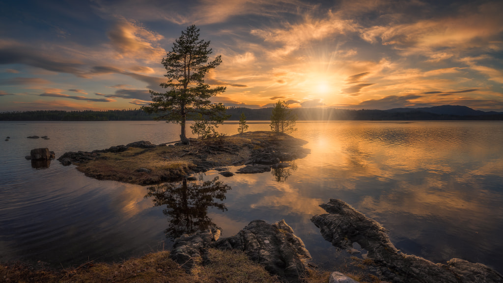 Spring Light by Ole Henrik Skjelstad on 500px.com