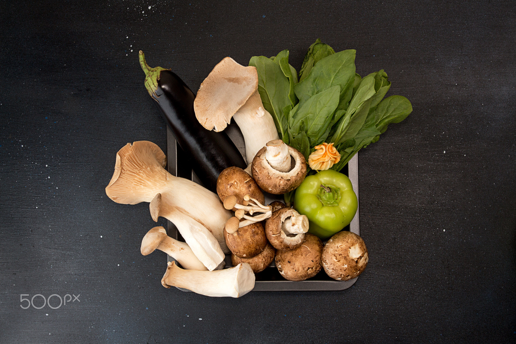 Oyster mushrooms king mushrooms and vegetables on dark backgroun
