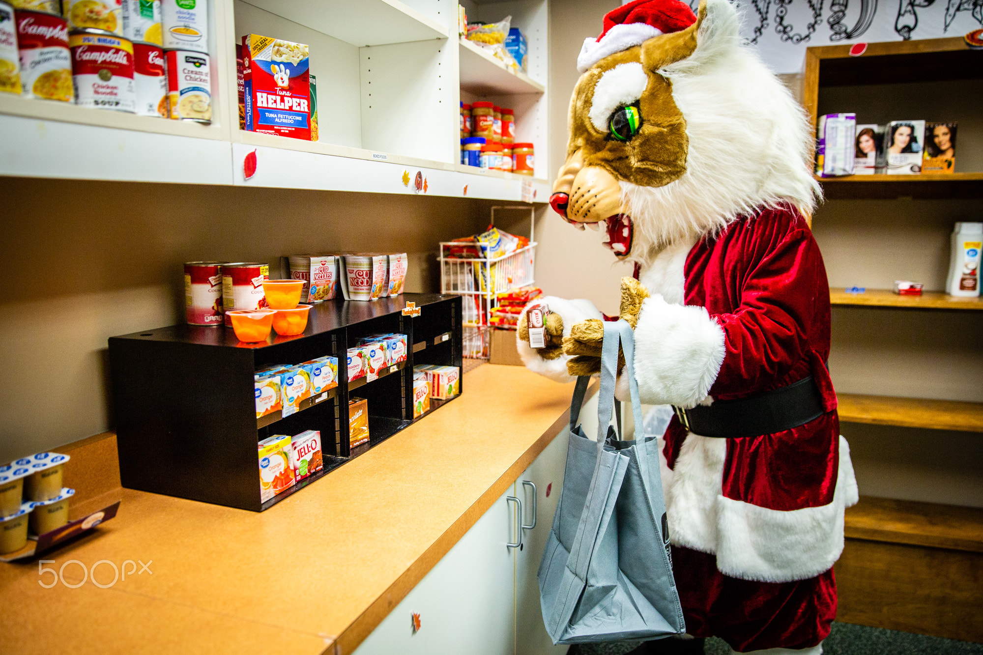 bobby food pantry fallch