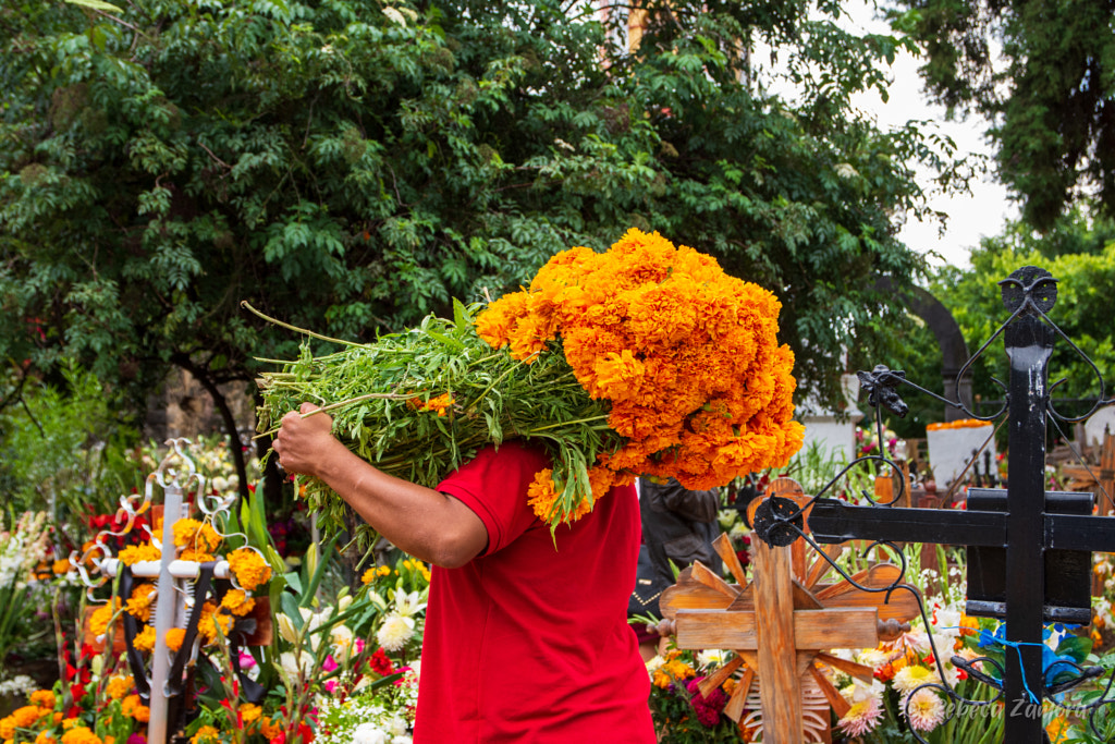 Tochimilco en el dia de muertos by Rebeca Zamora on 500px.com