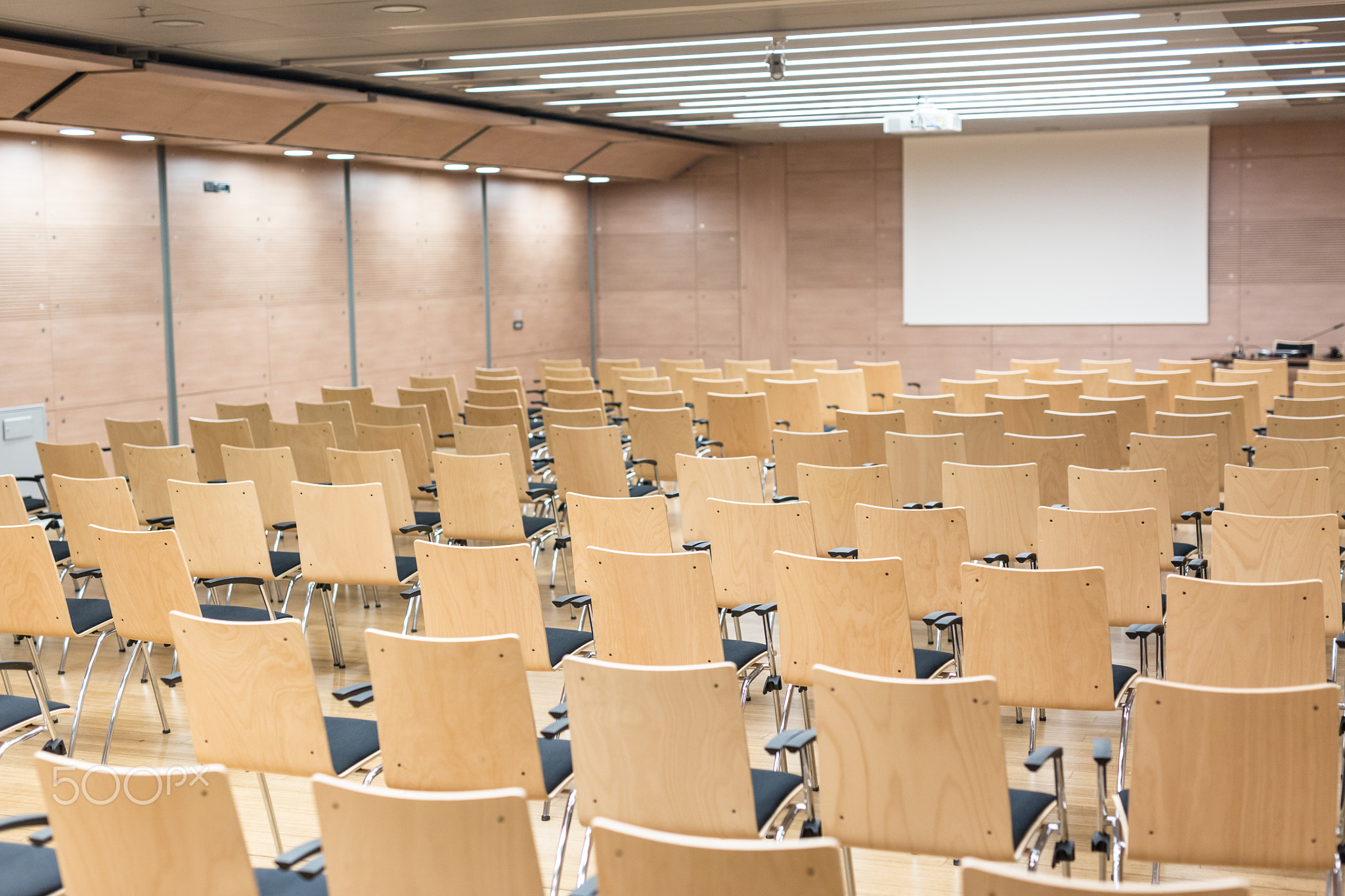 Empty wooden seats in a cotmporary lecture hall.