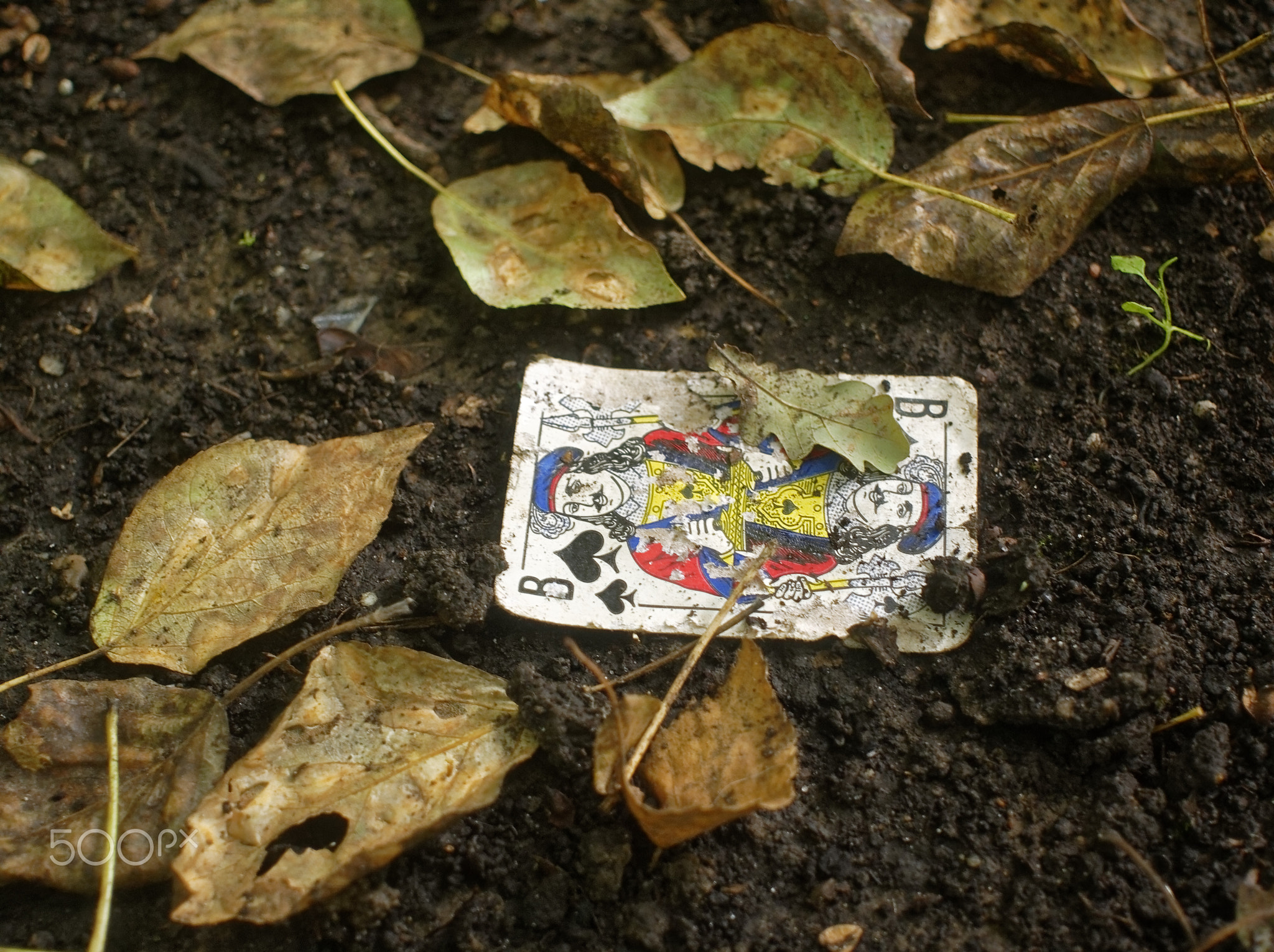 playing card in the mud on the ground lies