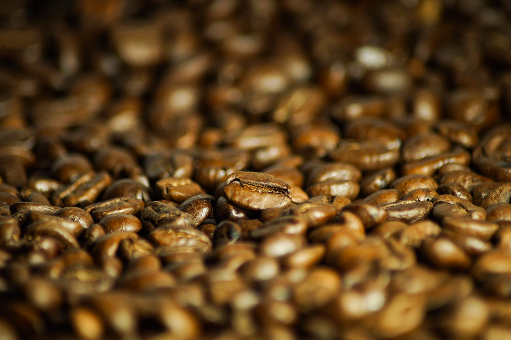 Coffee beans by Klaus Vartzbed on 500px.com