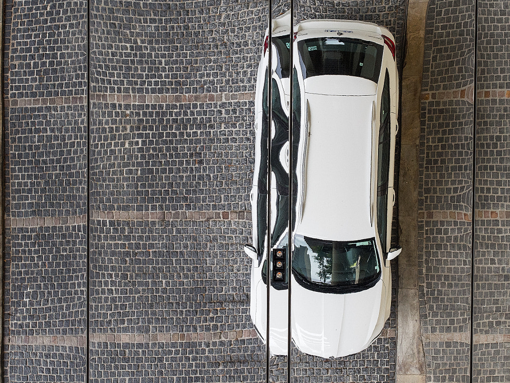 Looking Up by Paul Amyes on 500px.com