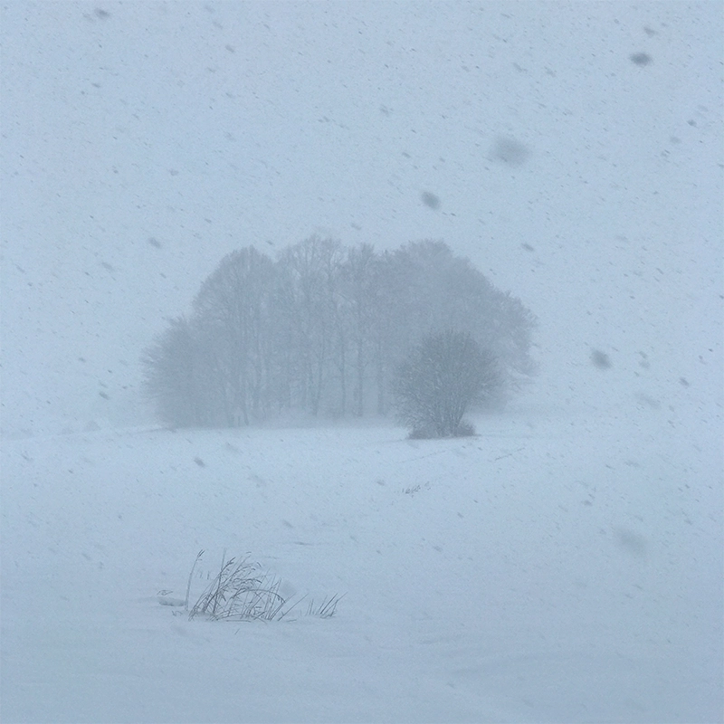 winter by dirk derbaum on 500px.com