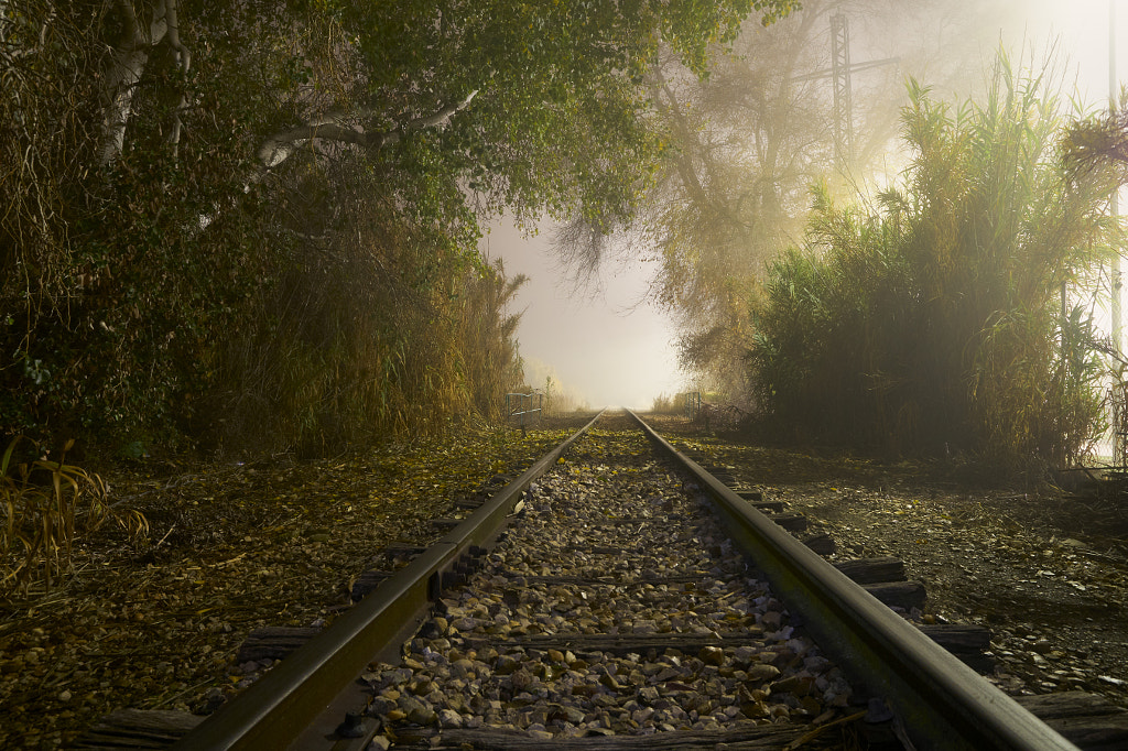 La vía y la niebla by Yoan Ramos on 500px.com