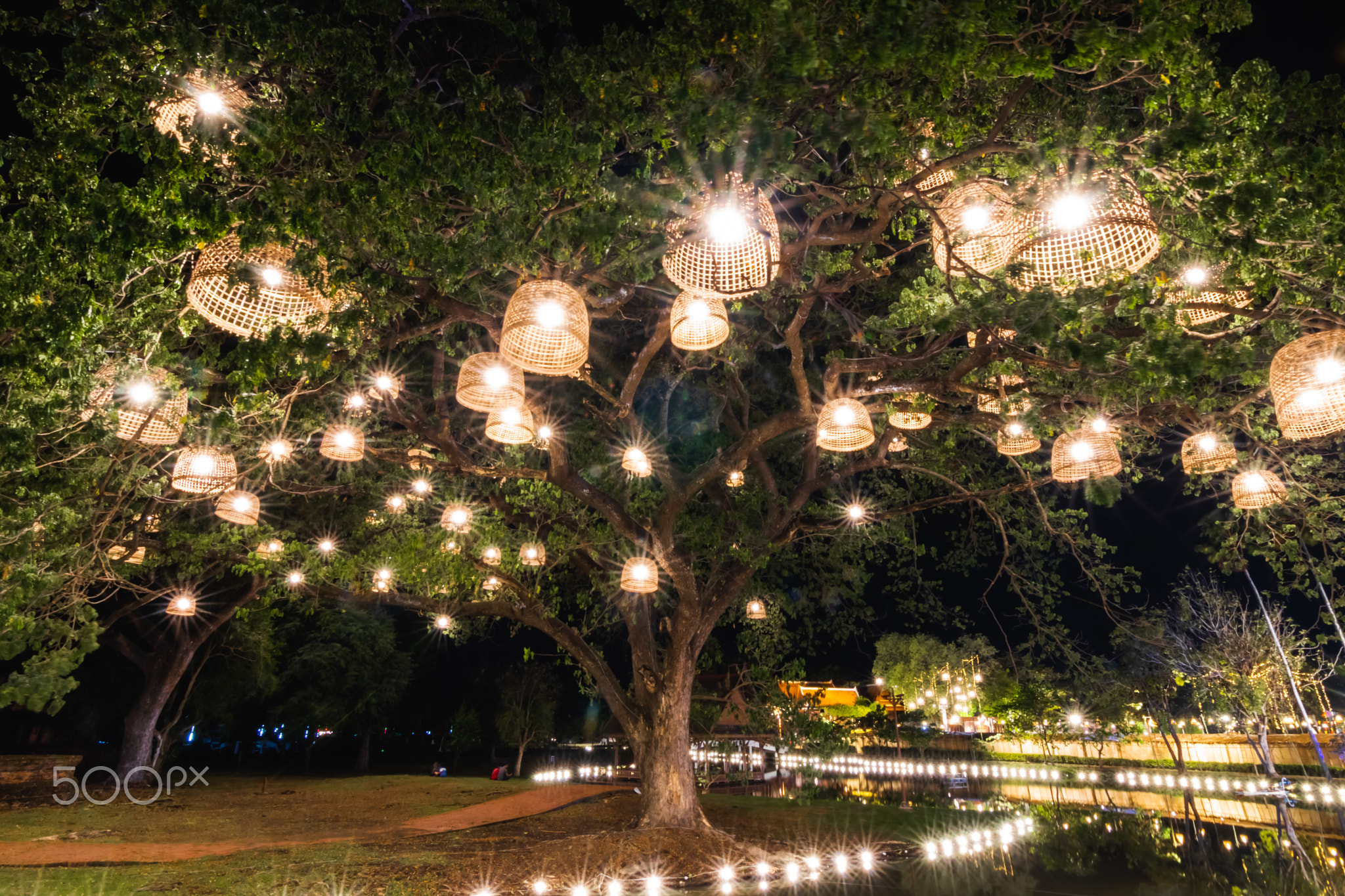 lighting fixture on the tree