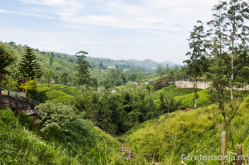 Untitled by www.fretensonja.nl  on 500px.com