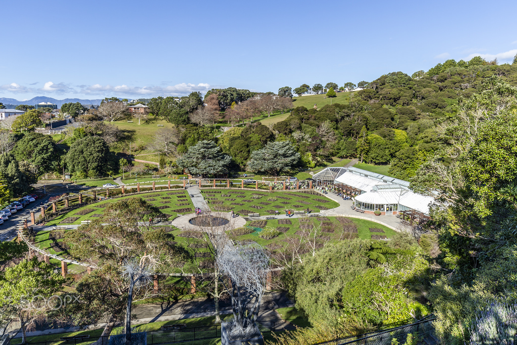 Wellington, New Zealand - July 14, 2018: The Lady Norwood rose garden in Wellington Botanic...