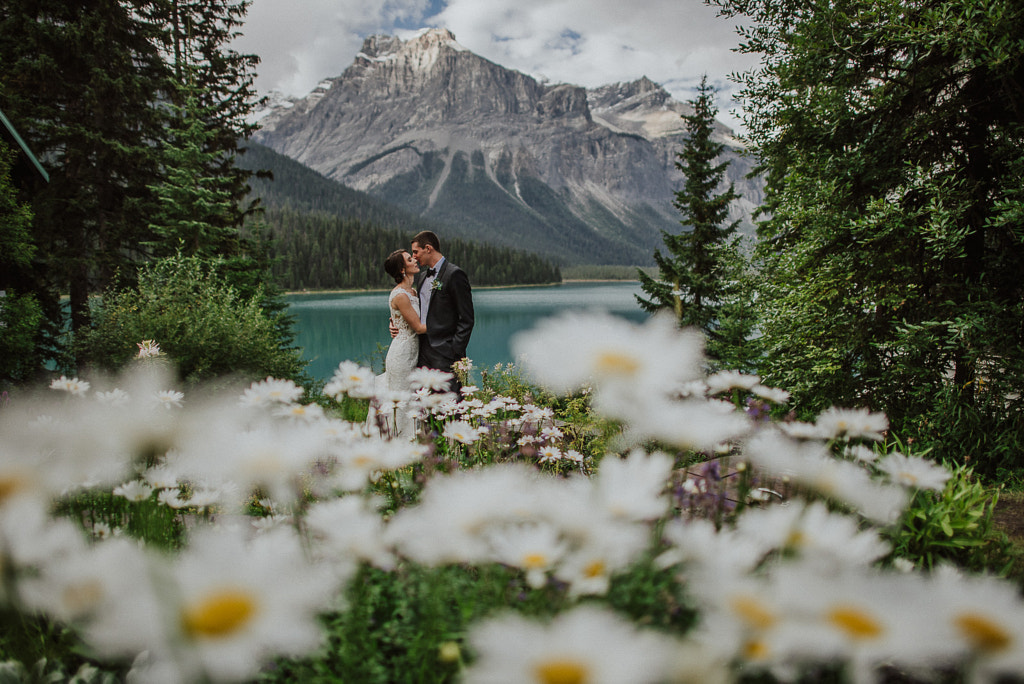 Best weddings of Luxury Wedding - Emerald by Carey Nash on 500px.com