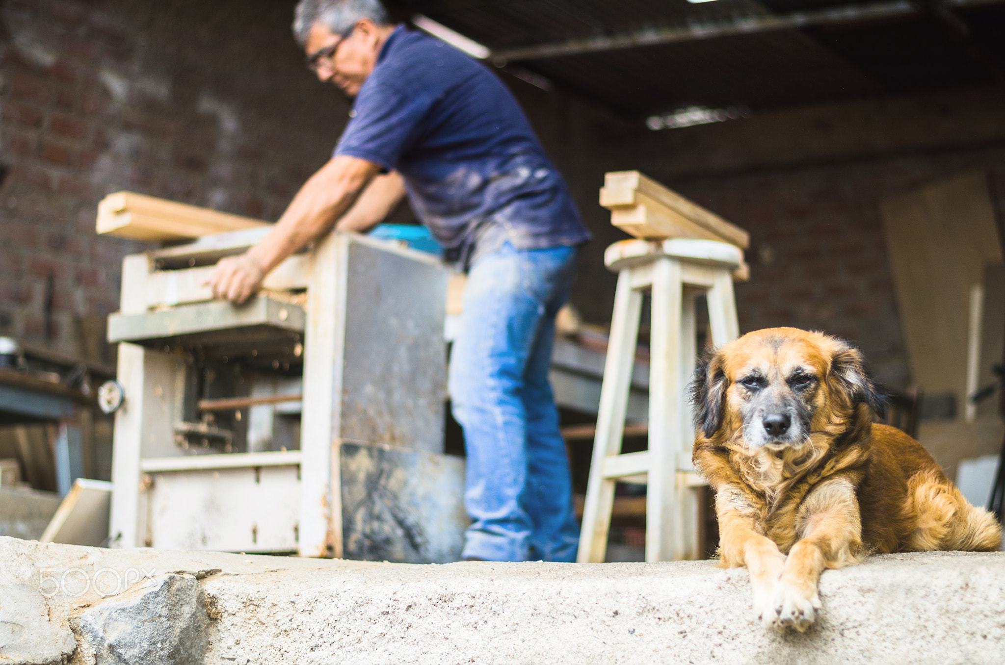 Professional carpenter making renovations in his workshop at home with his small dog.