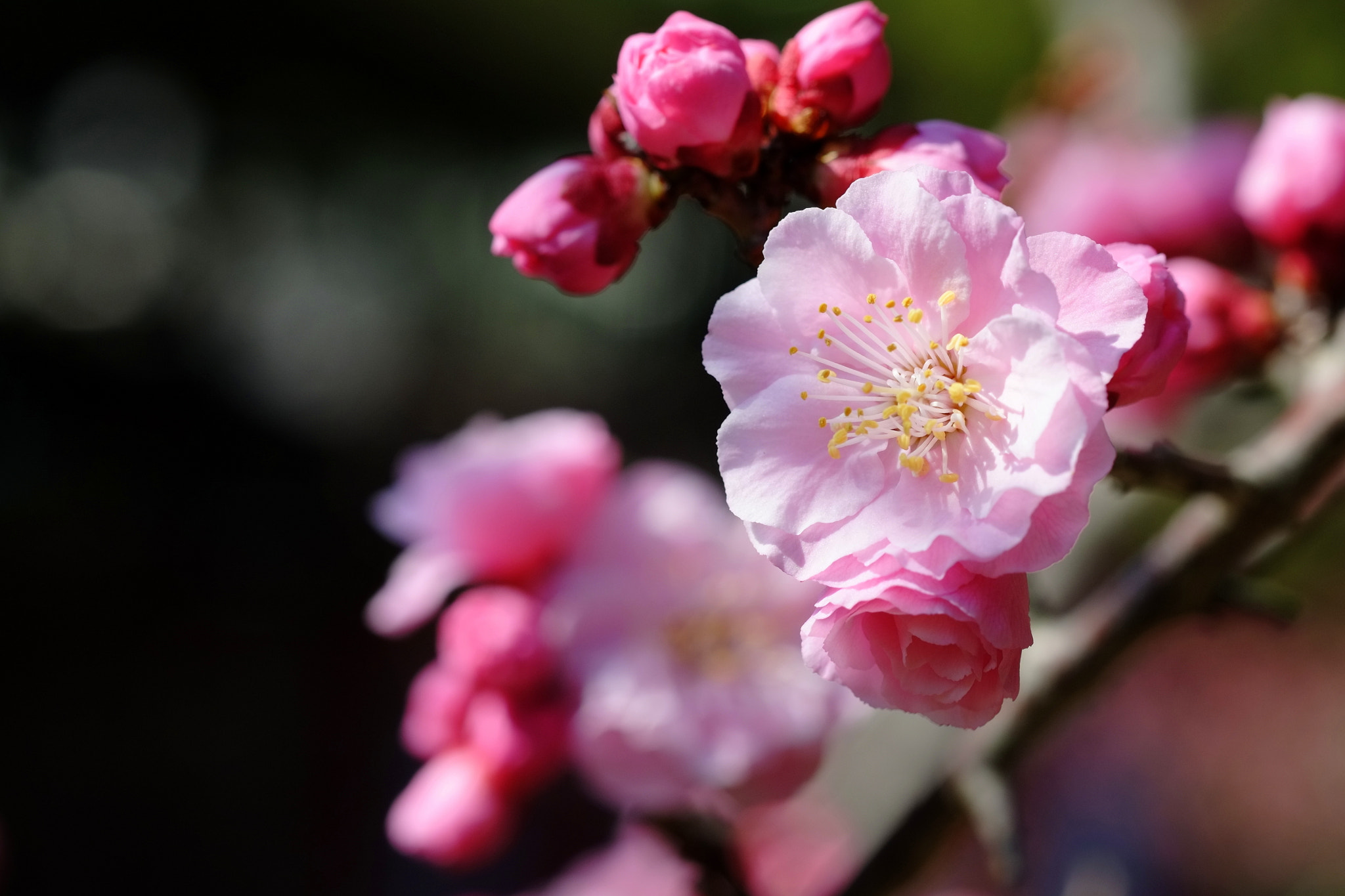 v2?sig=dee941ee4948c1786d962502ecb0d60884ef7963d30e708d84950e4854d4c200