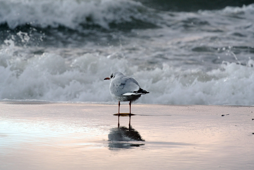 still waiting by Peter Reinhardt on 500px.com