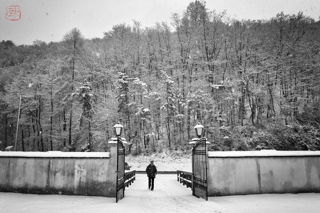 Main Entrance by Michael Sauer on 500px.com