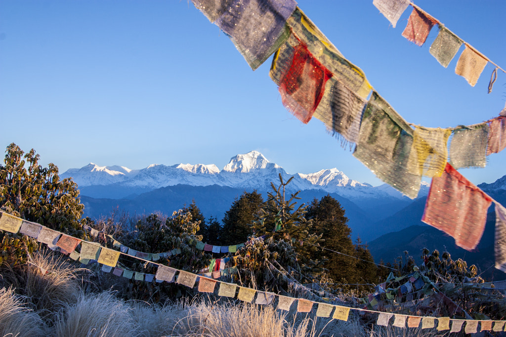 Mount Annapurna at dawn on Poon Hill in Nepal among prayful tags by Juliya Kirchenko on 500px.com