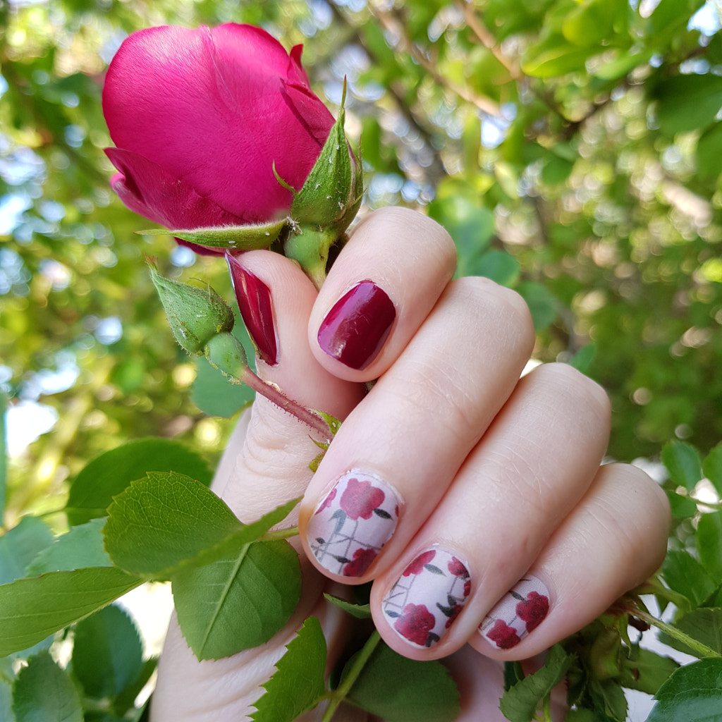 Roses Manicure by Elizabeth Fitzgerald on 500px.com