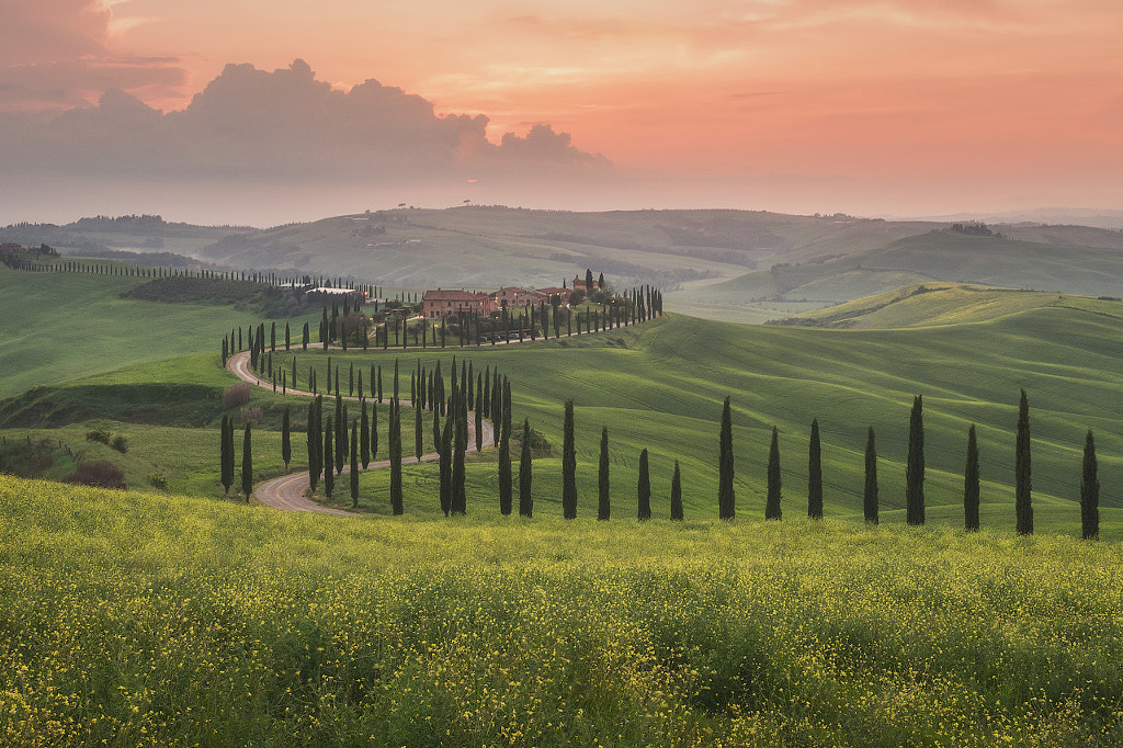 The Rolling Hills of Tuscany by Iurie Belegurschi on 500px.com