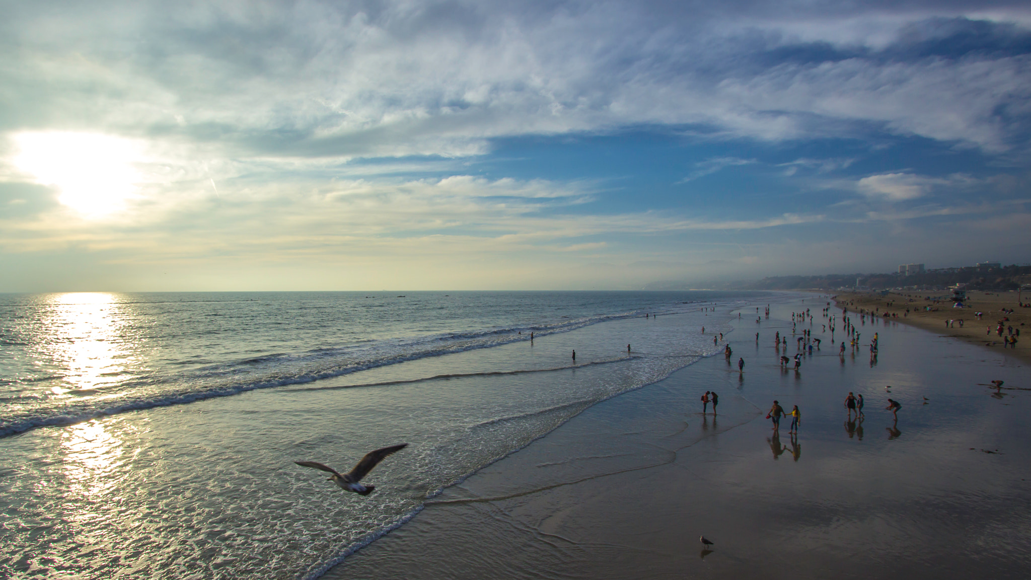 Santa Monica / Dreaming