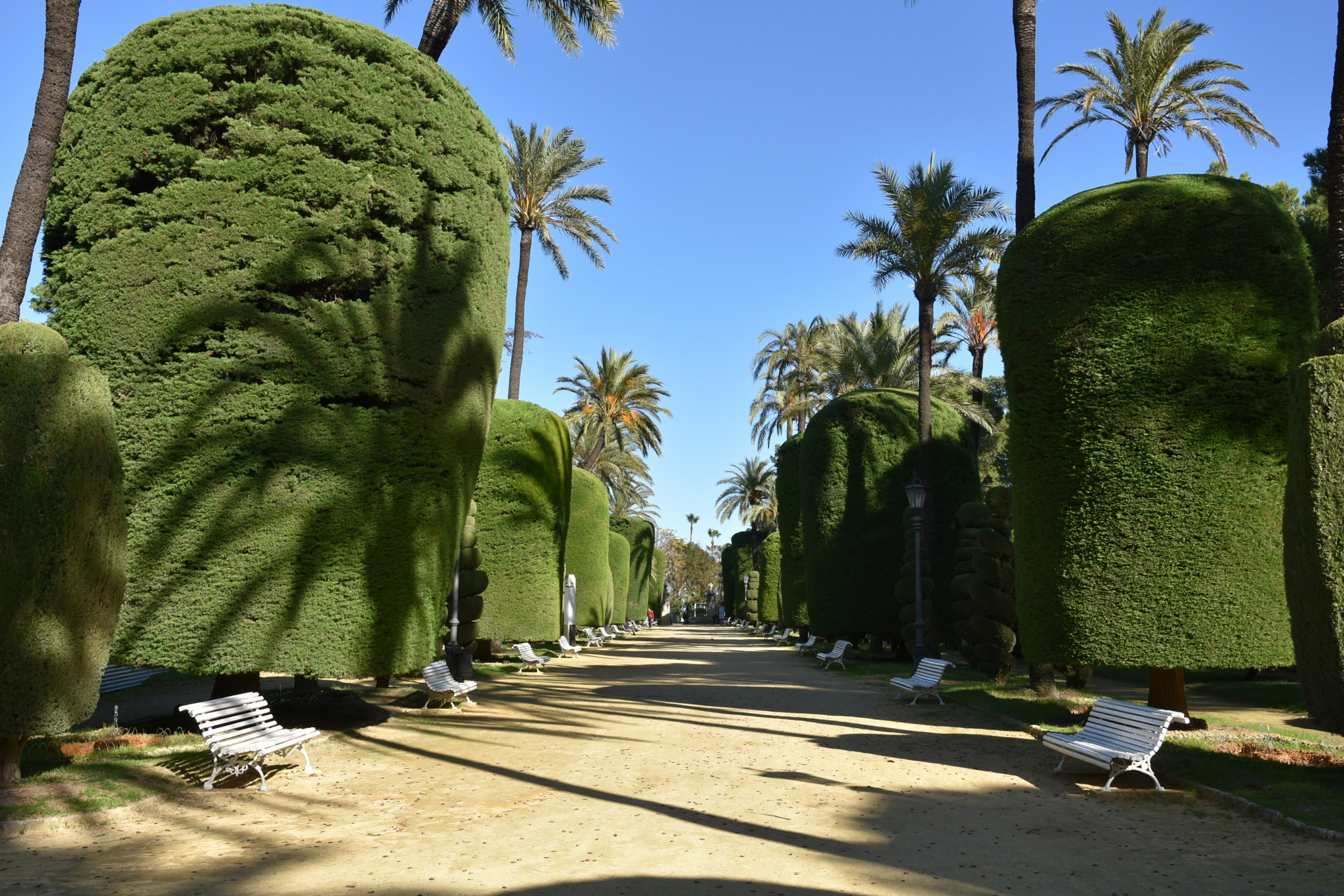 The beautiful botanical garden of Cadiz in Spain